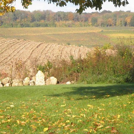Domaine Du Moulin De L'Etang Bed & Breakfast Châtillon-sur-Marne Екстериор снимка