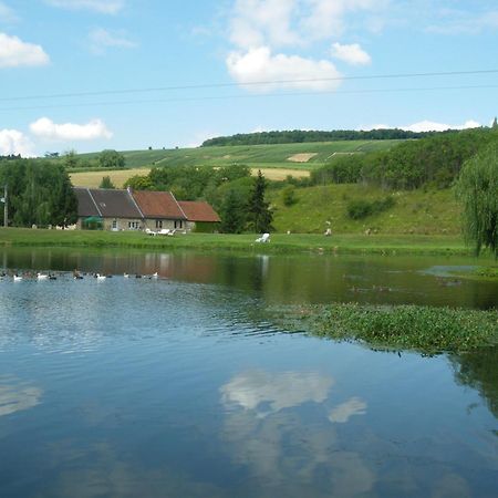 Domaine Du Moulin De L'Etang Bed & Breakfast Châtillon-sur-Marne Екстериор снимка
