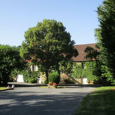 Domaine Du Moulin De L'Etang Bed & Breakfast Châtillon-sur-Marne Екстериор снимка