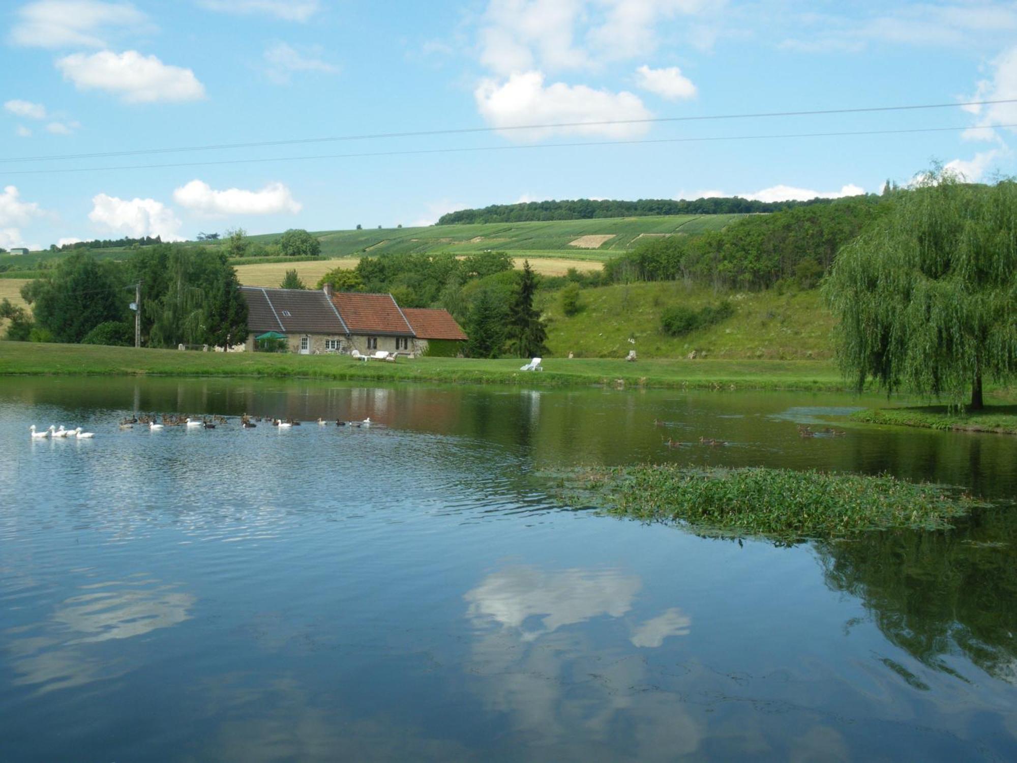 Domaine Du Moulin De L'Etang Bed & Breakfast Châtillon-sur-Marne Екстериор снимка