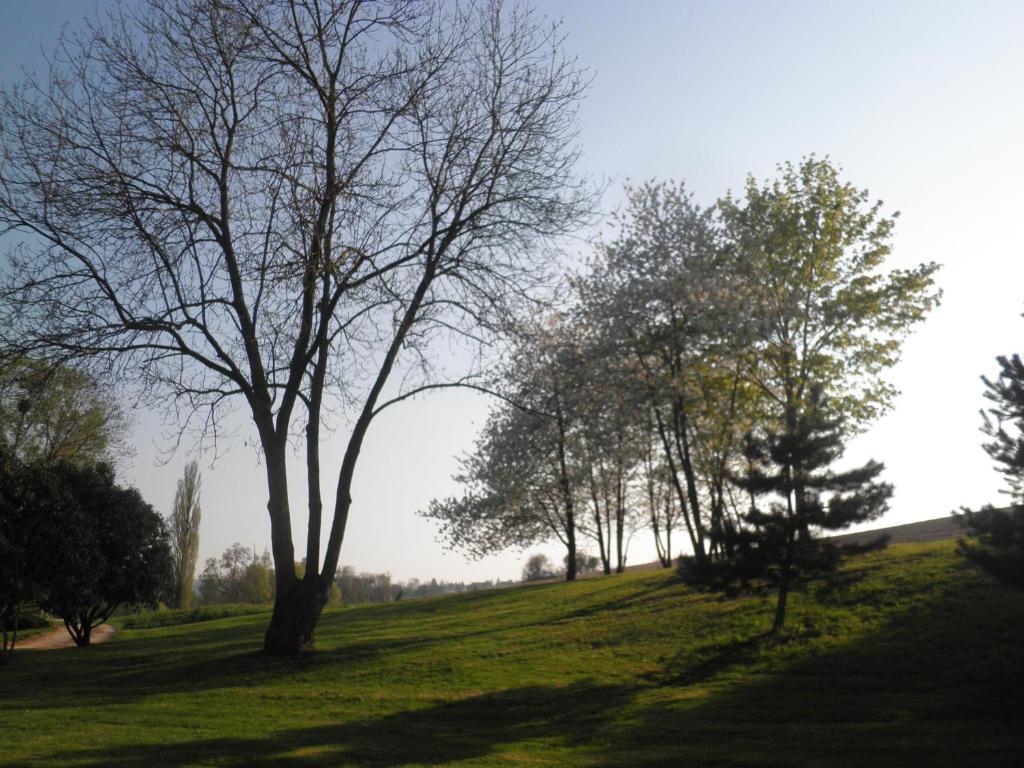 Domaine Du Moulin De L'Etang Bed & Breakfast Châtillon-sur-Marne Стая снимка