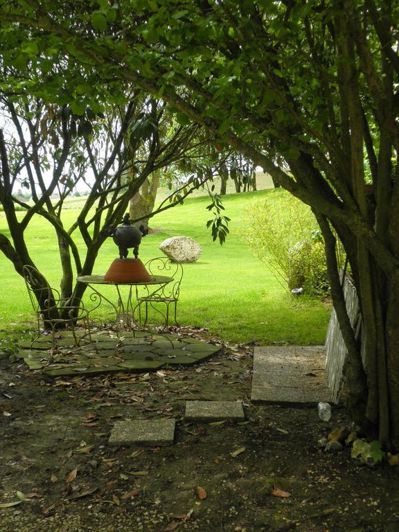 Domaine Du Moulin De L'Etang Bed & Breakfast Châtillon-sur-Marne Екстериор снимка