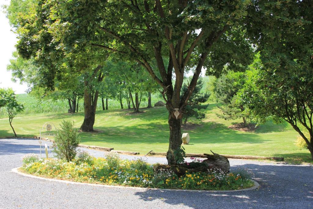 Domaine Du Moulin De L'Etang Bed & Breakfast Châtillon-sur-Marne Екстериор снимка