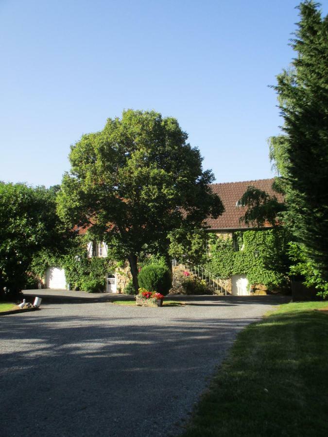 Domaine Du Moulin De L'Etang Bed & Breakfast Châtillon-sur-Marne Екстериор снимка